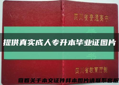 提供真实成人专升本毕业证图片缩略图