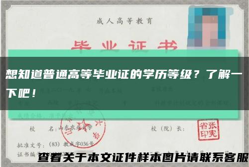 想知道普通高等毕业证的学历等级？了解一下吧！缩略图