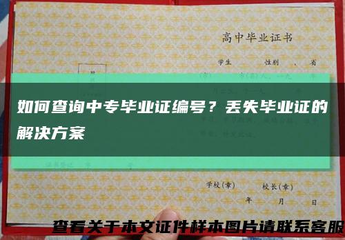 如何查询中专毕业证编号？丢失毕业证的解决方案缩略图