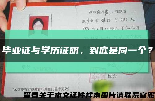毕业证与学历证明，到底是同一个？缩略图