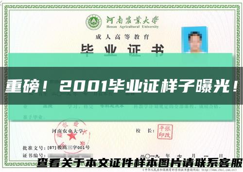 重磅！2001毕业证样子曝光！缩略图