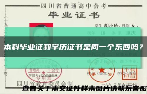 本科毕业证和学历证书是同一个东西吗？缩略图