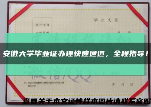 安徽大学毕业证办理快速通道，全程指导！缩略图