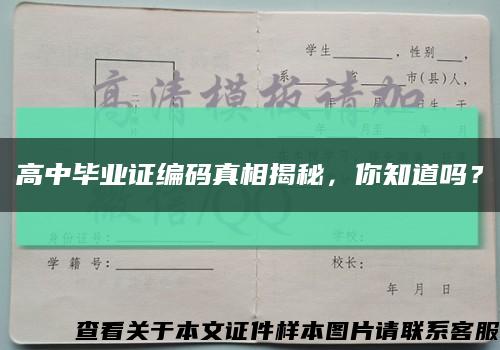 高中毕业证编码真相揭秘，你知道吗？缩略图