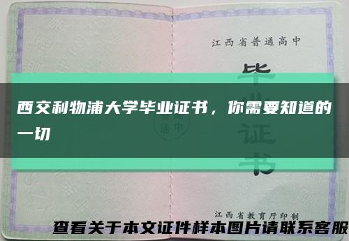 西交利物浦大学毕业证书，你需要知道的一切缩略图
