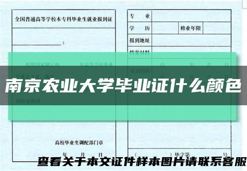 南京农业大学毕业证什么颜色缩略图