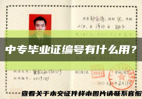 中专毕业证编号有什么用？缩略图