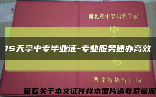15天拿中专毕业证-专业服务速办高效缩略图