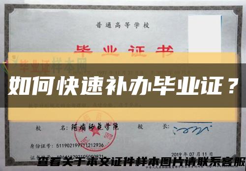 如何快速补办毕业证？缩略图