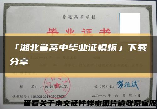 「湖北省高中毕业证模板」下载分享缩略图