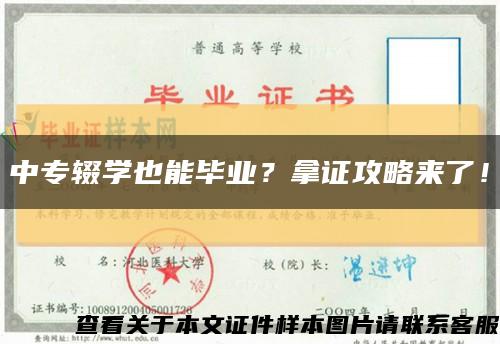 中专辍学也能毕业？拿证攻略来了！缩略图