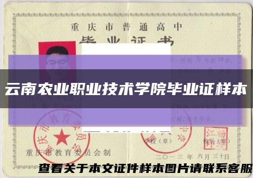 云南农业职业技术学院毕业证样本缩略图