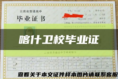 喀什卫校毕业证缩略图