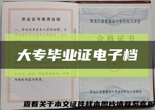 大专毕业证电子档缩略图