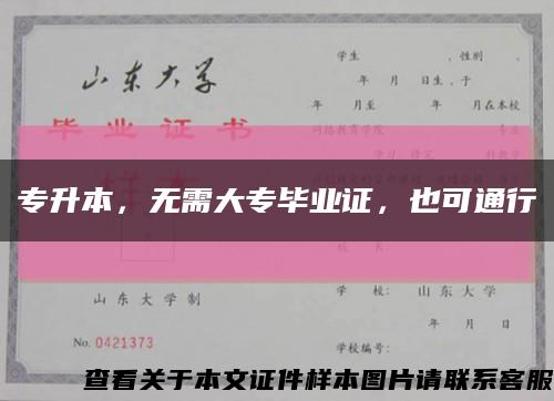 专升本，无需大专毕业证，也可通行缩略图