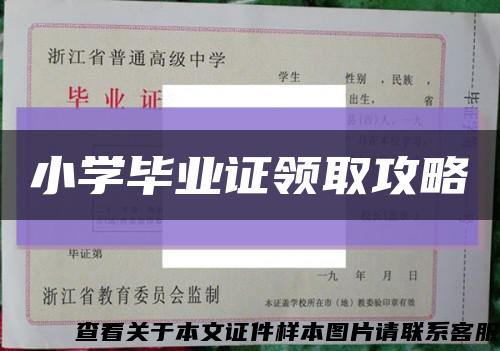 小学毕业证领取攻略缩略图