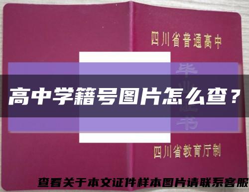 高中学籍号图片怎么查？缩略图