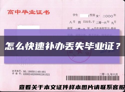 怎么快速补办丢失毕业证？缩略图