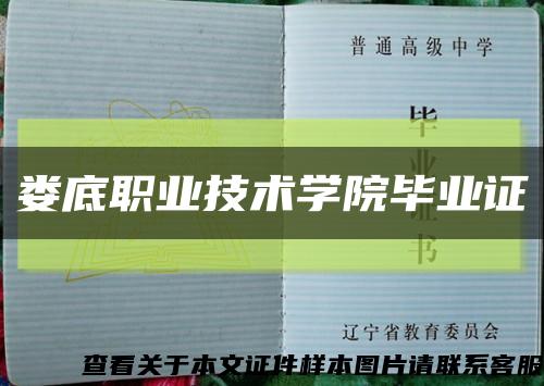 娄底职业技术学院毕业证缩略图