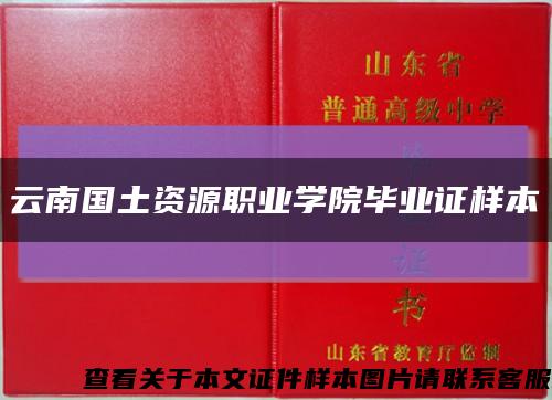 云南国土资源职业学院毕业证样本缩略图