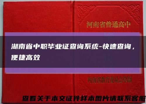 湖南省中职毕业证查询系统-快速查询，便捷高效缩略图