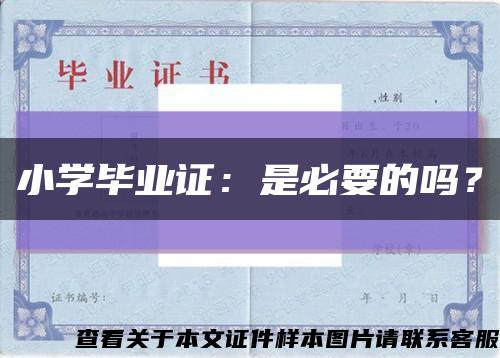小学毕业证：是必要的吗？缩略图