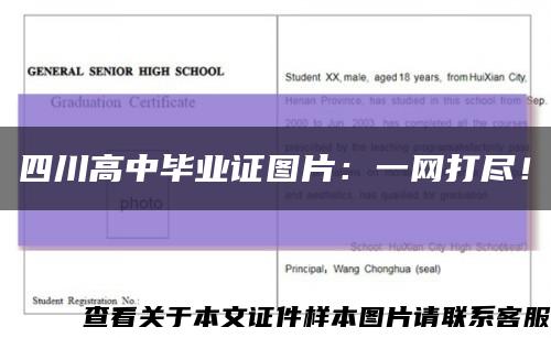 四川高中毕业证图片：一网打尽！缩略图