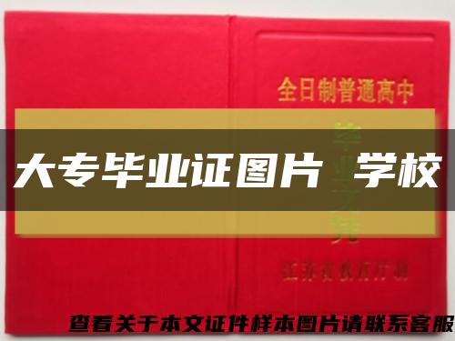 大专毕业证图片 学校缩略图
