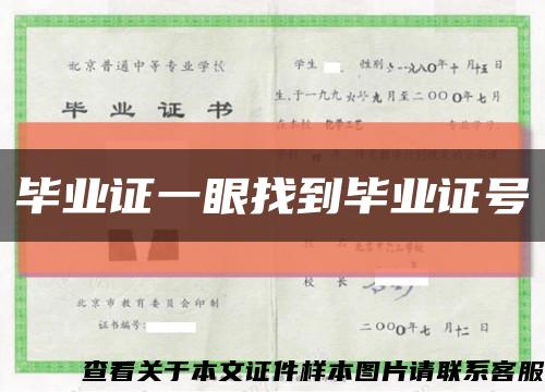 毕业证一眼找到毕业证号缩略图
