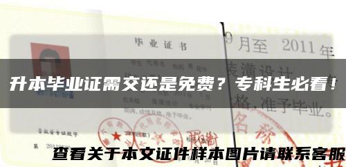 升本毕业证需交还是免费？专科生必看！缩略图