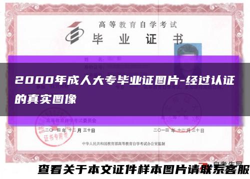 2000年成人大专毕业证图片-经过认证的真实图像缩略图