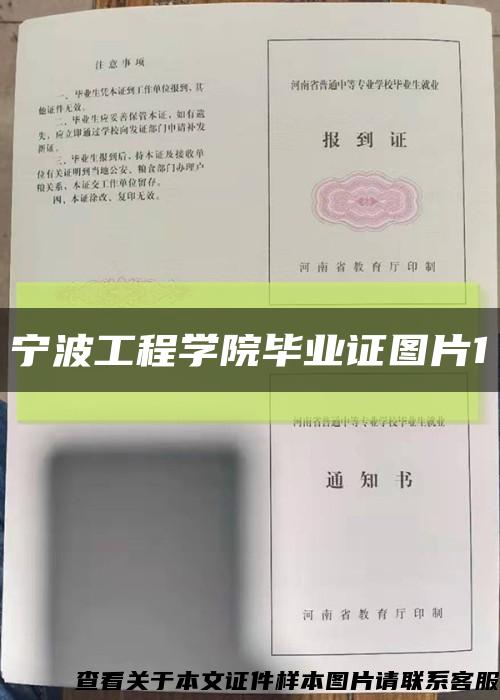 宁波工程学院毕业证图片1缩略图