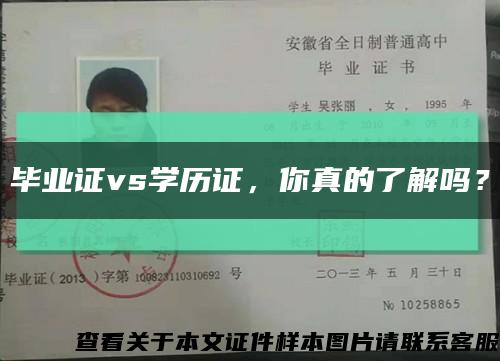 毕业证vs学历证，你真的了解吗？缩略图