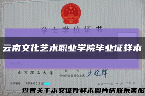 云南文化艺术职业学院毕业证样本缩略图