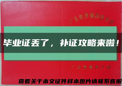 毕业证丢了，补证攻略来啦！缩略图