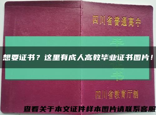 想要证书？这里有成人高教毕业证书图片！缩略图