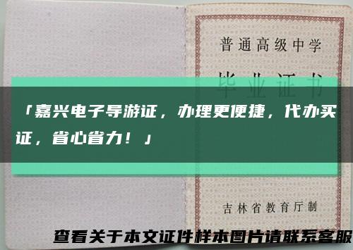 「嘉兴电子导游证，办理更便捷，代办买证，省心省力！」缩略图