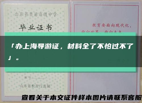 「办上海导游证，材料全了不怕过不了」。缩略图
