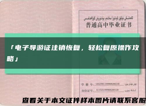 「电子导游证注销恢复，轻松复原操作攻略」缩略图