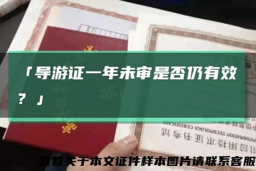 「导游证一年未审是否仍有效？」缩略图