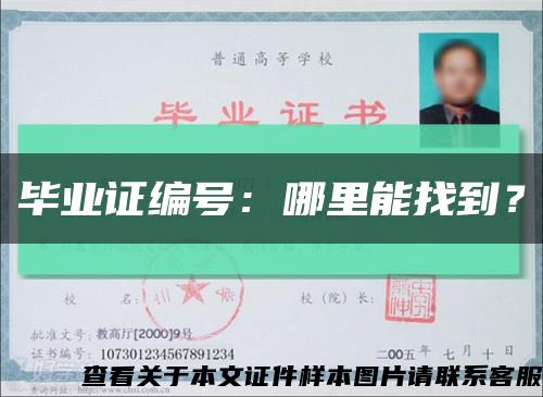 毕业证编号：哪里能找到？缩略图