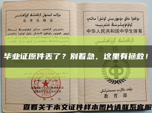 毕业证原件丢了？别着急，这里有拯救！缩略图