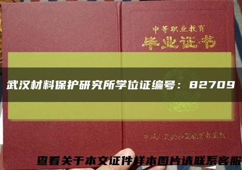 武汉材料保护研究所学位证编号：82709缩略图