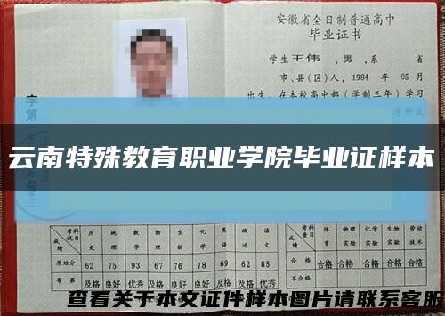 云南特殊教育职业学院毕业证样本缩略图