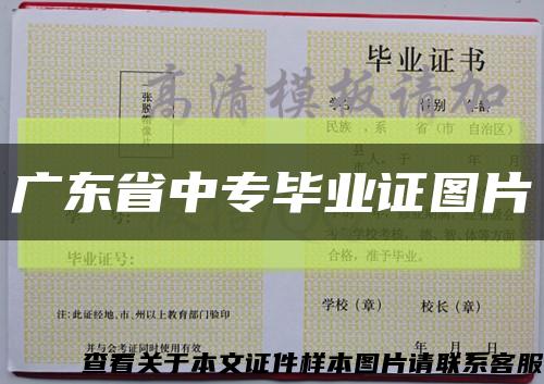 广东省中专毕业证图片缩略图