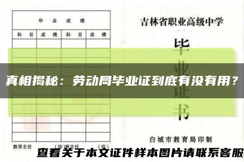 真相揭秘：劳动局毕业证到底有没有用？缩略图