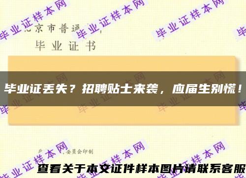 毕业证丢失？招聘贴士来袭，应届生别慌！缩略图