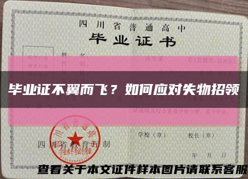 毕业证不翼而飞？如何应对失物招领缩略图