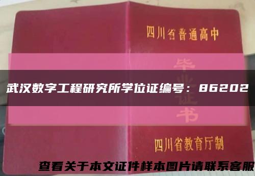 武汉数字工程研究所学位证编号：86202缩略图