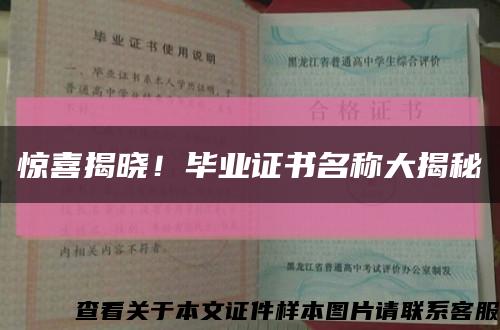 惊喜揭晓！毕业证书名称大揭秘缩略图